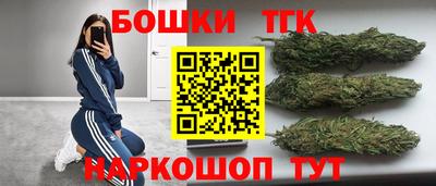 индика Апрелевка
