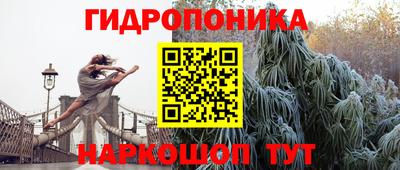 индика Апрелевка