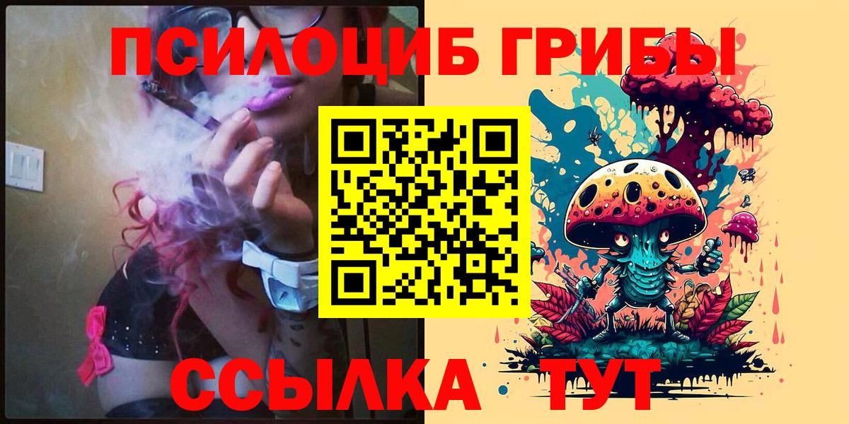 Брянск  Псилоцибиновые грибы мухоморы  Вход с VPN  Псилоцибиновые грибы Psilocybe 